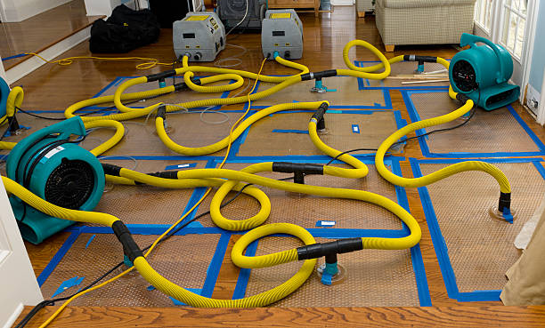 Professional Structural Drying And Dehumidification technician working in Plainfield, MA